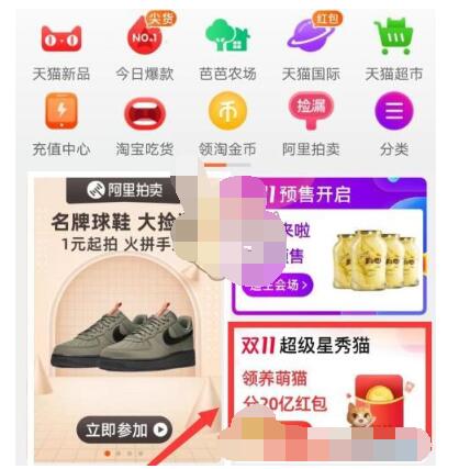 2020淘宝双十一养猫在哪里玩。