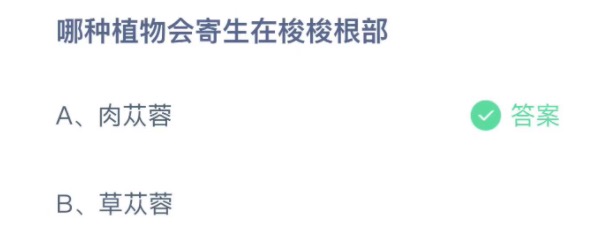 2021年11月23日蚂蚁庄园今日课堂答题。