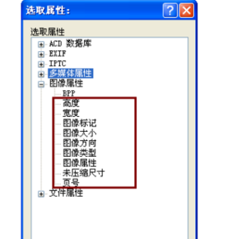 ACDSee设置图像属性的简单操作。