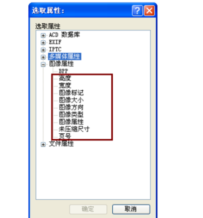 ACDSee设置排序方式的基础操作。