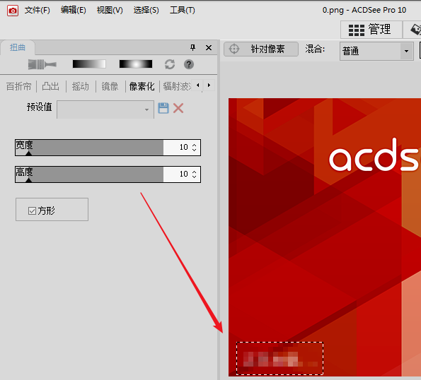ACDSee在图片上加马赛克的方法教学