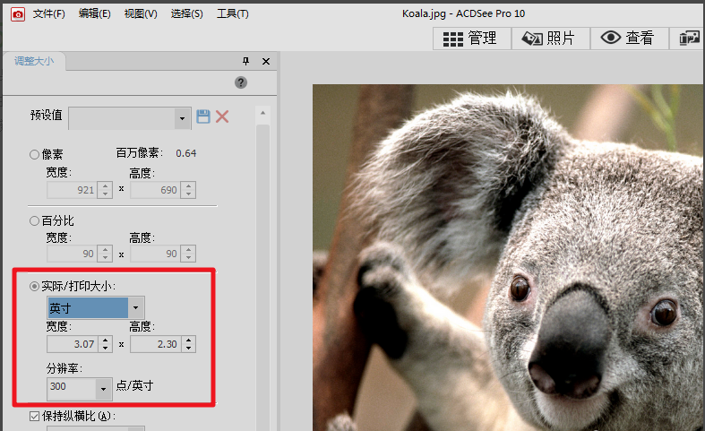 ACDSee修整图片尺寸的经验我来说说
