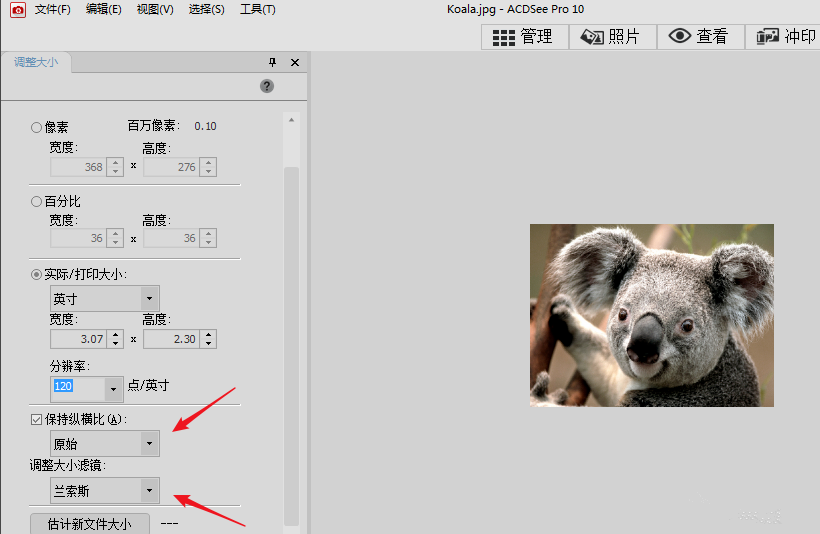 ACDSee修整图片尺寸的经验我来说说