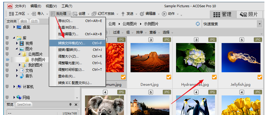 ACDSee使用教学:批量压缩图片,分分钟完事