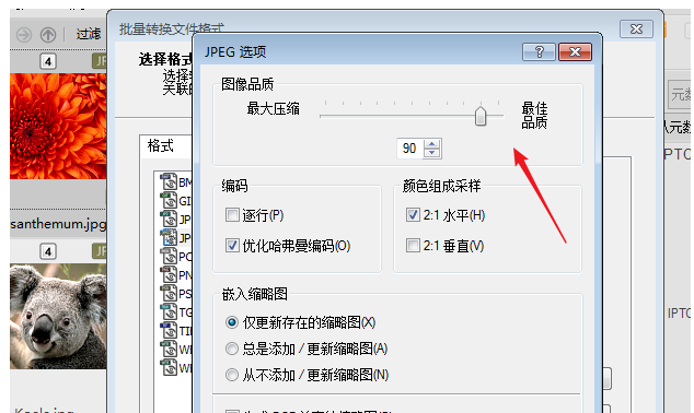 ACDSee使用教学:批量压缩图片,分分钟完事