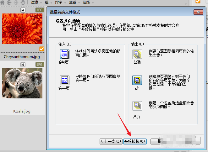 ACDSee使用教学:批量压缩图片,分分钟完事