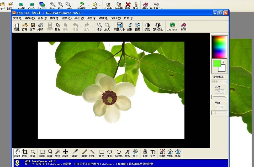 ACDSee魔棒抠图方法我来说说，效果堪比Photoshop