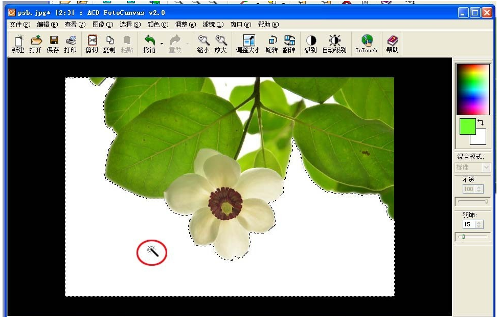 ACDSee魔棒抠图方法我来说说，效果堪比Photoshop