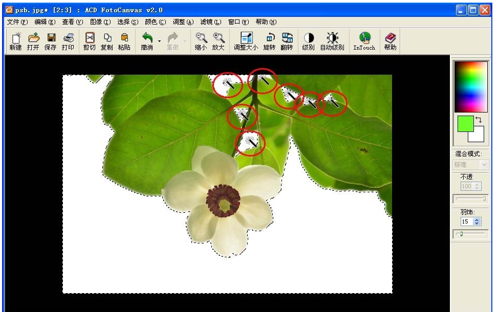 ACDSee魔棒抠图方法我来说说，效果堪比Photoshop