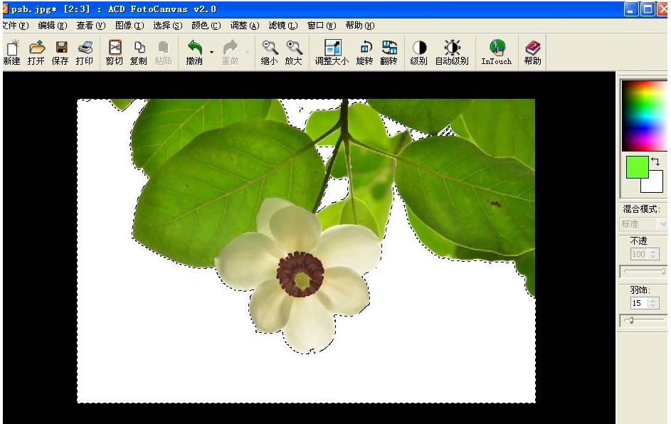 ACDSee魔棒抠图方法我来说说，效果堪比Photoshop