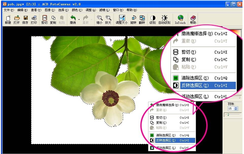 ACDSee魔棒抠图方法我来说说，效果堪比Photoshop