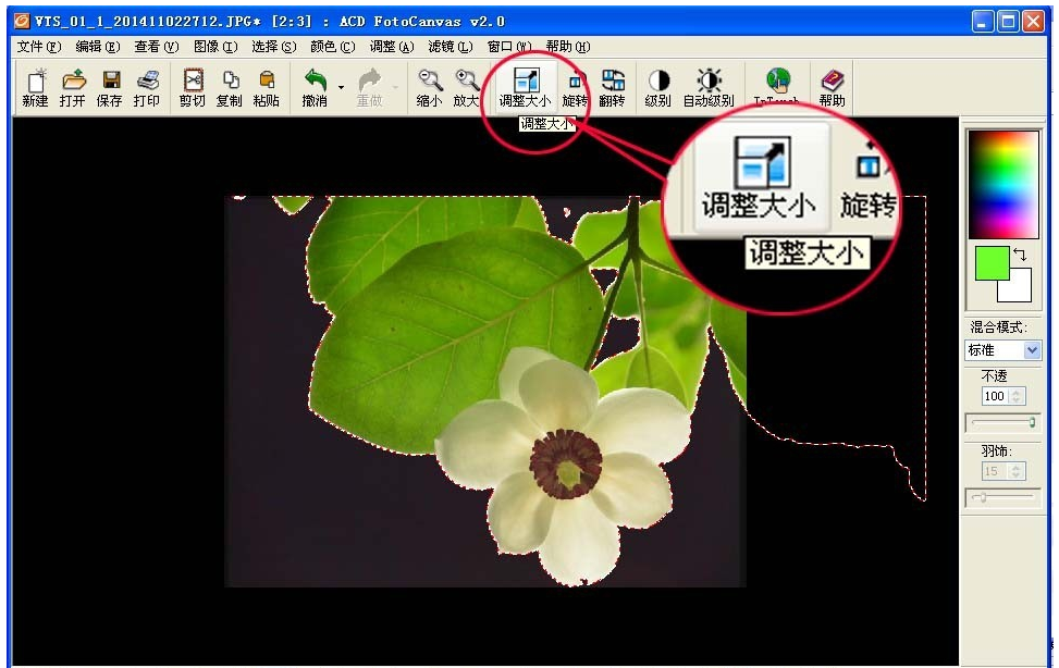 ACDSee魔棒抠图方法我来说说，效果堪比Photoshop