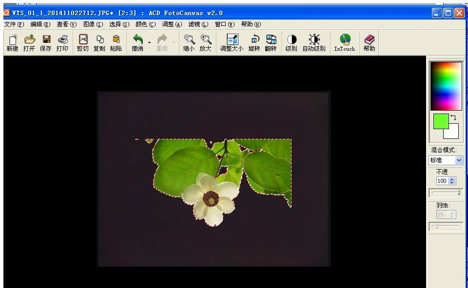 ACDSee魔棒抠图方法我来说说，效果堪比Photoshop