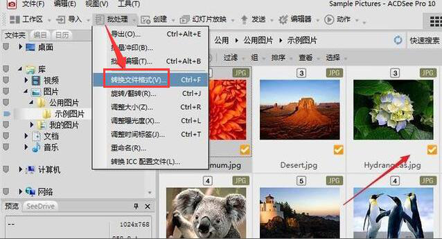 acdsee：和美图秀秀类似的多功能软件，可以完成简单的图片处理