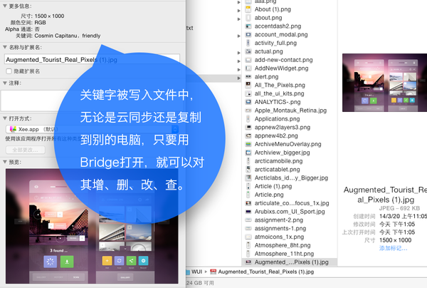 Adobe Bridge：100%免费的图片管理利器，适合所有人
