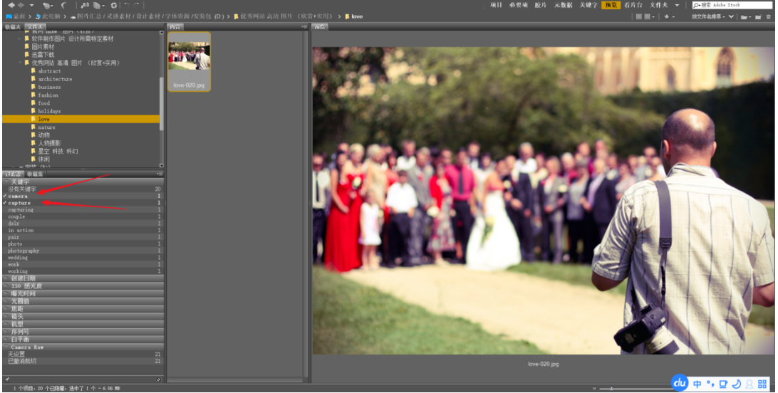 Adobe Bridge：100%免费的图片管理利器，适合所有人
