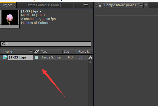 AE制作花开动画的图文操作过程。