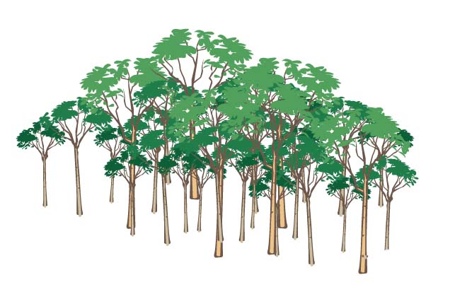 ai画出一片森林画的操作教程。