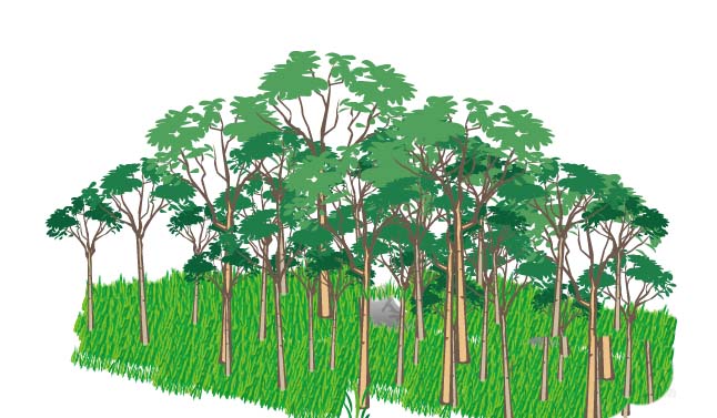 ai画出一片森林画的操作教程。