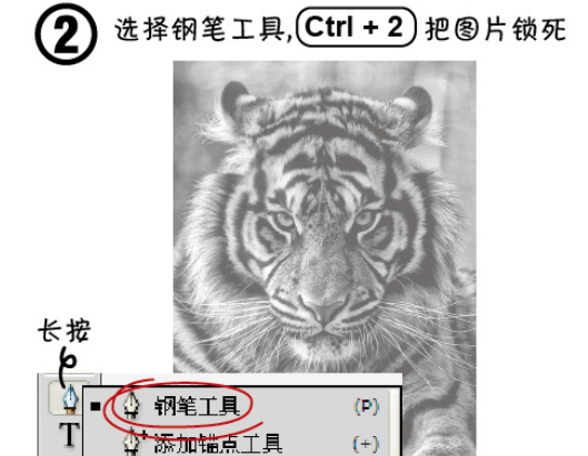 ai制作老虎头像的图文操作。