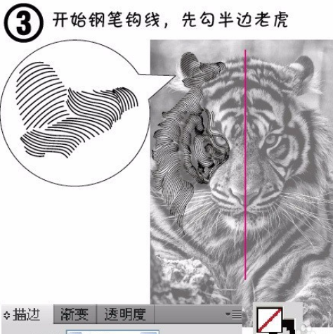 ai制作老虎头像的图文操作。