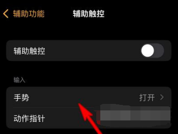AppleWatchSeries7如何设置手势操作。