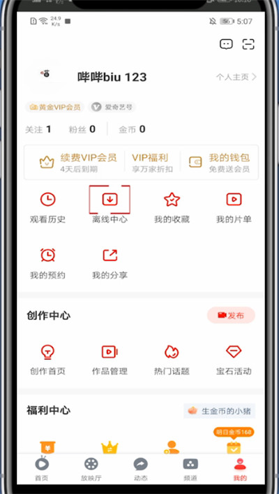 爱奇艺随刻版下载的视频在哪里。