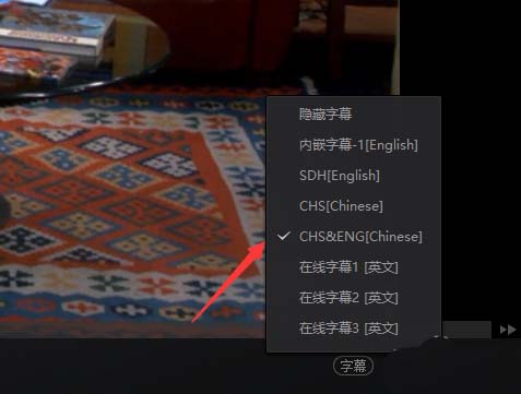爱奇艺播放器切换视频字幕的操作流程。