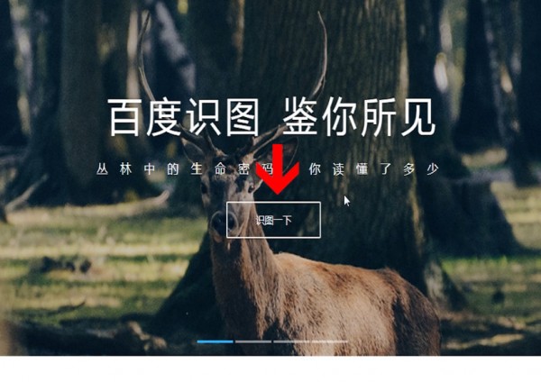 百度里识图使用操作讲解。