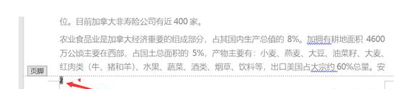 不会从Word第二页插入页码