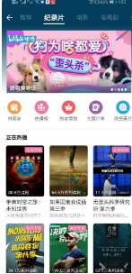 哔哩哔哩如何查看具体视频的分区。