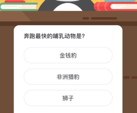 奔跑最快的哺乳动物是。