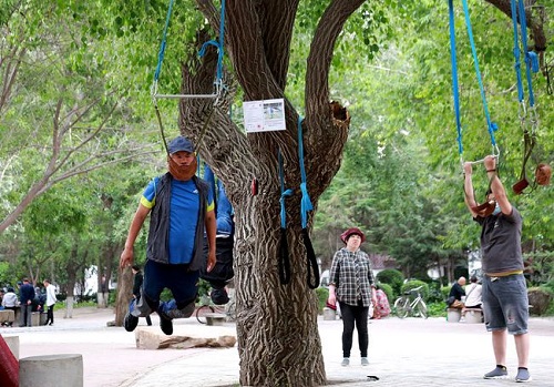 不少人喜欢把头用牵引装置吊起来做运动，这种“吊颈健身”。