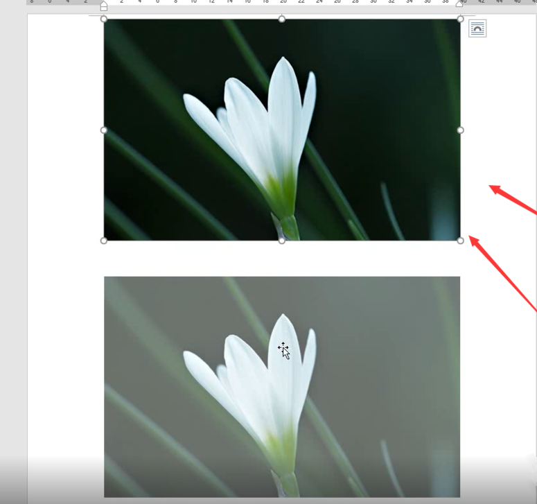 不用PS、美图秀秀，Word也能制作图片曝光效果