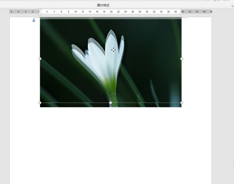 不用PS、美图秀秀，Word也能制作图片曝光效果