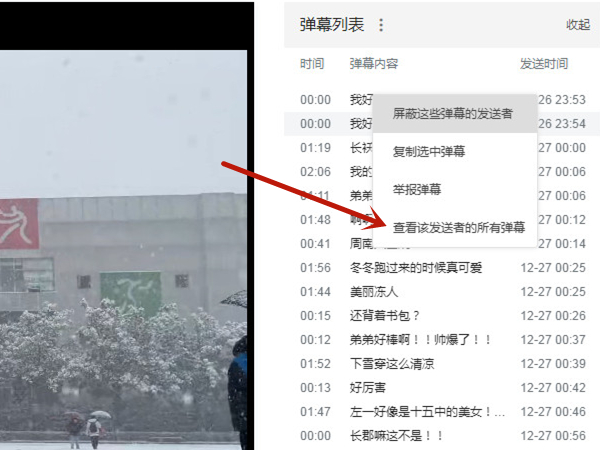 b站可以看到自己的弹幕记录吗。