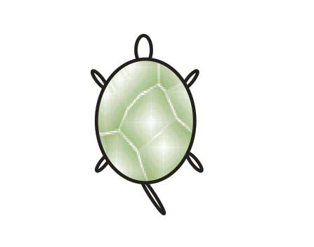 cdr制作卡通风格小乌龟的图文操作。