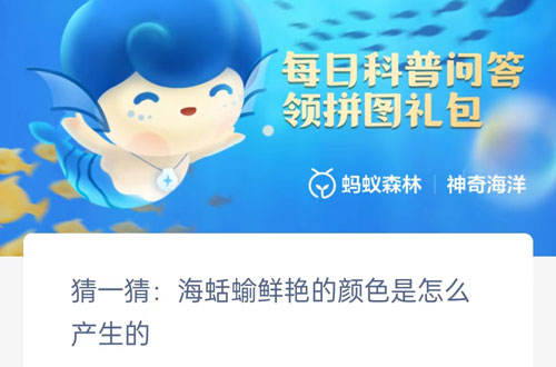 猜一猜海蛞蝓鲜艳的颜色是怎么产生的。
