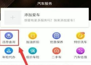 懂车帝怎么查询违章。