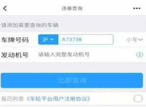 懂车帝怎么查询违章。