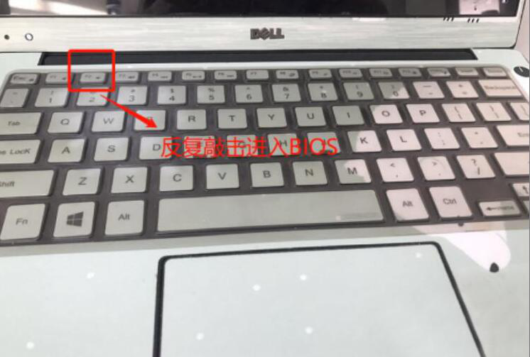 Dell supportassist 打不开怎么办。