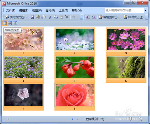 电脑空间总是不足,Picture Manage助你批量处理图片