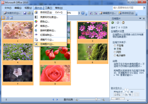 电脑空间总是不足,Picture Manage助你批量处理图片