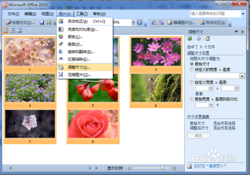 电脑空间总是不足,Picture Manage助你批量处理图片