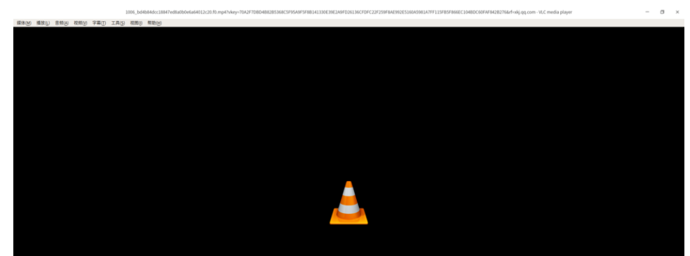 带你体验VLC Media Player贴心设计，实时录制当前视频画面