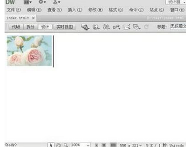 Dreamweaver插入图像的操作流程。