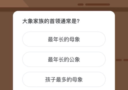 大象家族的首领通常是。