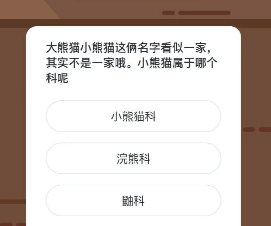 大熊猫小熊猫这俩名字看似一家，其实不是一家哦。小熊猫属于哪个科呢。