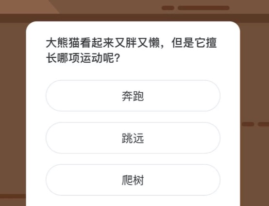 大熊猫看起来又胖又懒但是它擅长哪项运动呢。