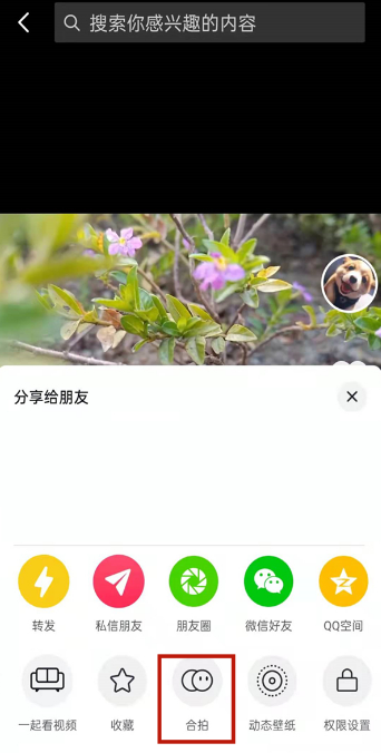 抖音合拍如何把图片弄上去。